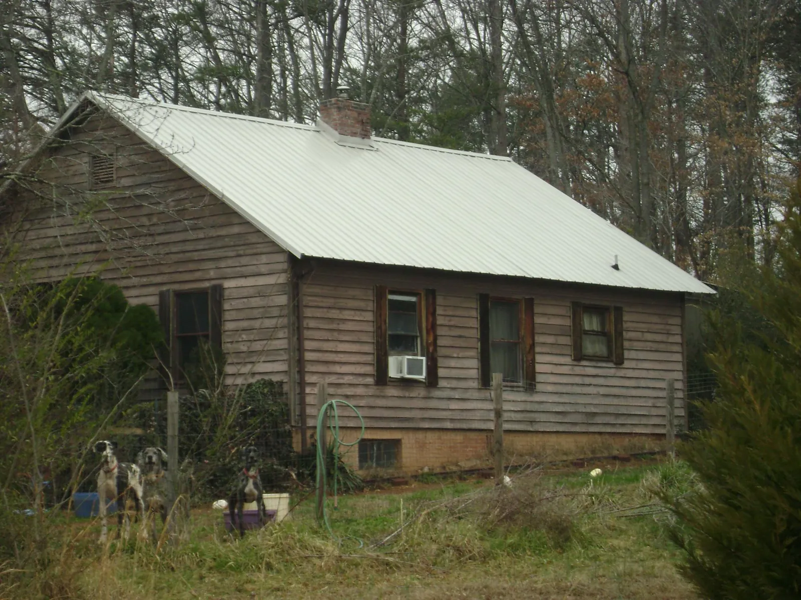 White metal roof on an old wood sided farmhouse, from a Asphalt Shingle Roof Repair job in Creston